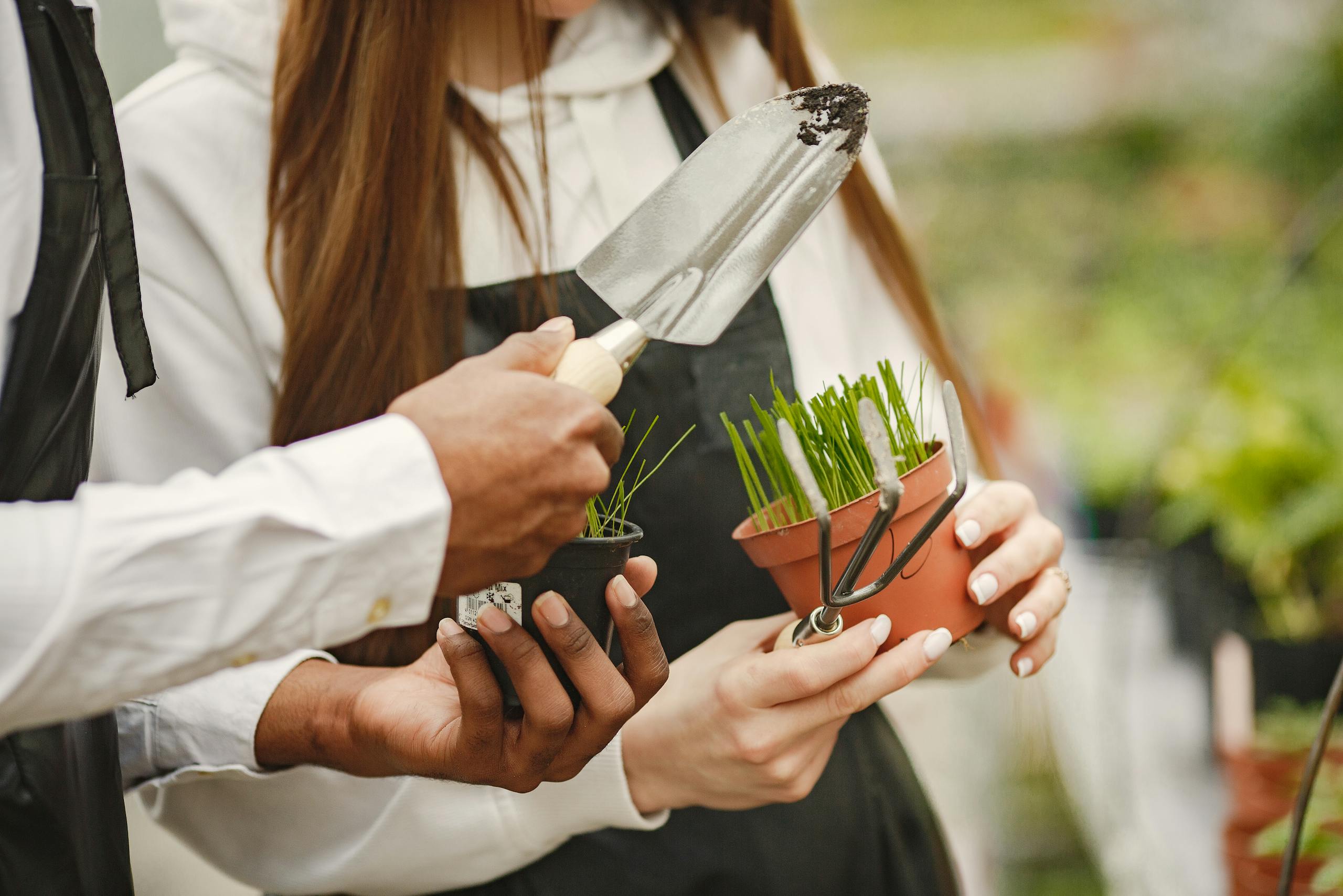 Gardeners in greenhouse holding seedlings and gardening tools. Close-up view.